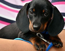 Capital Seguros y Fianzas_9